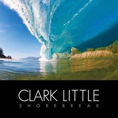 Clark Little Shorebreak Clark Little, Steve Hawk hardcover Used – Very Good