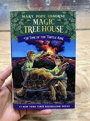Time Of The Turtle King