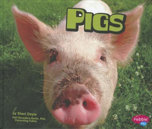 Pigs (Farm Animals)