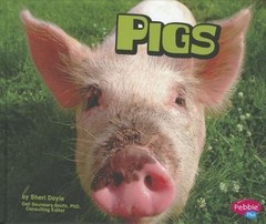 Pigs (Farm Animals)