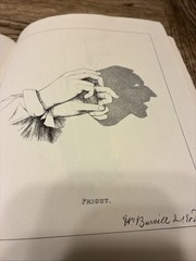 More Hand Shadows to Be Thrown upon a Wall by Henry Bursill (Trade Paperback)