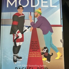 Rachel Reid Role Model 2024 Trade Paperback Game Changers LGBT Sports Romance