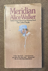 Meridian ~ Alice Walker ~ 1977 Washington Square Press PB