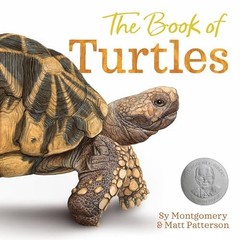 The Book of Turtles – GOOD