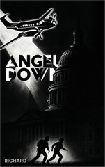Angel Down (Hardback or Cased Book)