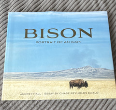 Chase Reynolds Ewald Bison: Portrait of an Icon Hardcover 2021 Illustrated