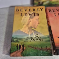 Author Beverly Lewis Three Book Bundle Of The Annie’s People Series Includes…