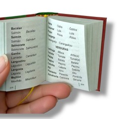 Guía Práctica de Conversación Español Portugués mini book hardcover 430 pages