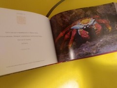 Revelations: Latin American Wisdom for Every Day Danielle Olivier Follmi Book