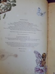 The Girls’ Book of Flower Fairies (HC, 2008) Frederick Warne (Crafts & Stories)