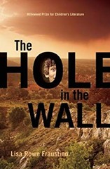 The Hole in the Wall Paperback Lisa Rowe Fraustino