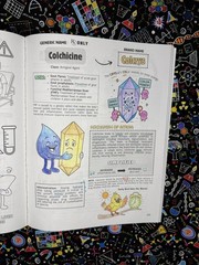 Top 200 Drugs Simplified Coloring Book (P. Burns) | Official Author Direct Copy