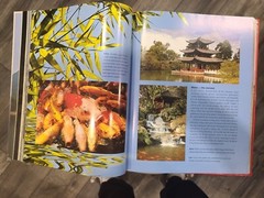Spirit of China: A Photographic Journey- hardcover, 1407525158, Gill Davies, new