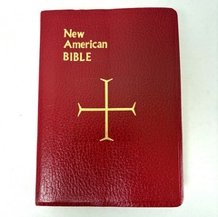 New American Bible Saint Joseph Edition Catholic Book Publishing Large Type