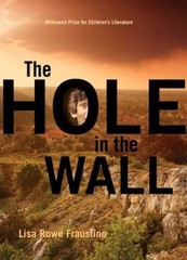 The Hole in the Wall Hardcover Lisa Rowe Fraustino
