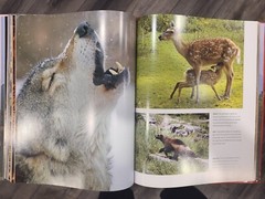 Spirit of China: A Photographic Journey- hardcover, 1407525158, Gill Davies, new