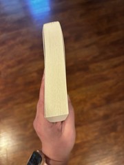 Everyone Is Lying to You Book by Jo Piazza , Paperback Book