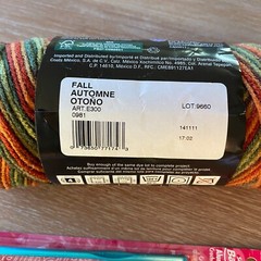 Crochet forBeginners Bundle – Red Heart Fall Colors Skein, Bates 5mm Hook & Book