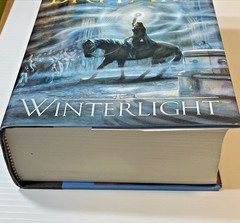 Winterlight (Green Rider) – First Edition 1st Printing Hardcover Kristen Britain