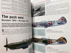 WWII Allied Fighter Aircraft 1939-45 P51 Mustang P38 Spitfire ThunderboltWildcat