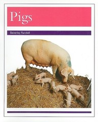 Animals – Pigs: Individual Student Edition Purple (Levels 19-20) (Rigby PM C…