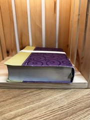 True Identity : The Bible for Women – Becoming Who You Are in Christ by…