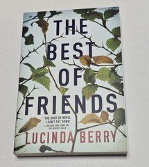 Best of Friends by Lucinda Berry (2020, Trade Paperback) BRAND NEW