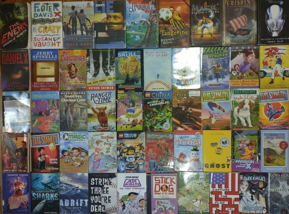 RANDOM Lot of 15 4th Grade AR Chapter Books RL Level 4.0-4.9 Homeschool Teacher