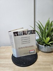AMERICAN DIVERSITY, AMERICAN IDENTITY: THE LIVES AND WORKS By John K. Roth