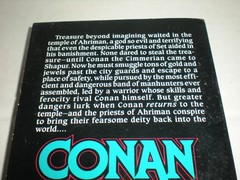 Conan and the Manhunters John Maddox Roberts Barbarian Fantasy Paperback 1994