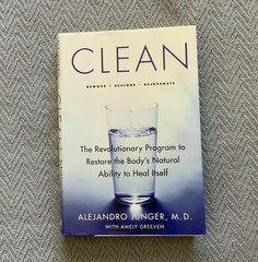 Alejandro Junger M.D. & Amely Greeven Clean: Revolutionary Program (2009, PB)