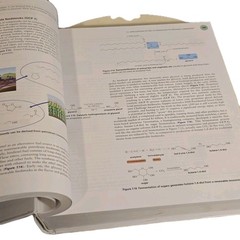 Organic Chemistry A Learner Centered Approach Mullins1st Edition2021 NEW(other)