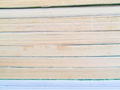 Magic Tree House Book Lot of 17, Mary Pope Osborne, PB HC Mix, 1990s-2010s