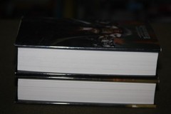 Lot of 2 Horus Heresy HCs – Horus Rising by Dan Abnett & False Gods by G McNeill