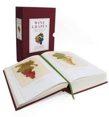 Wine Grapes: A Complete Guide to 1,368 Vine Varieties, Including The – VERY GOOD