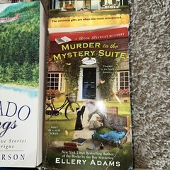 RANDOM THRILLER/MISC BOOK LOT OF 18