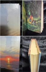 Stephen King Book The Gunslinger Dark Tower First 1st Printing Edition 1982 HC