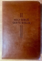 Santa Biblia/ Holy Bible : New Living Translation, Leatherlike, Brown Bilingual