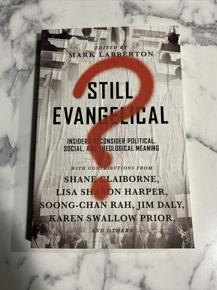 Still Evangelical? : Ten Insiders Reconsider Political, Social, and Theological