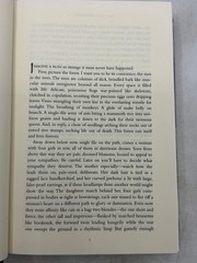 Poisonwood Bible Barbara Kingsolver 1998 First Edition HarperCollins Novel