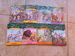 Lot of 24 Magic Treehouse books by Mary Pope Osborne Classroom owned