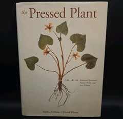 The Pressed Plant – Hardcover By DiNoto, Andrea – GOOD