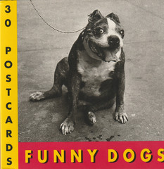 Funny Dogs: a Book of 30 Postcards by J. C. Suares (1996, Trade Paperback)