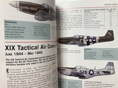 WWII Allied Fighter Aircraft 1939-45 P51 Mustang P38 Spitfire ThunderboltWildcat