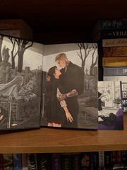 Lilith Vincent Fear Me, Love Me Hardcover Adult Romance Fiction Novel