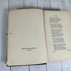 The Conspirators Robert W. Chambers 1899 A.L. Burt HC Antique Romance Novel