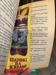 VTG Lot Of R.L. Stine Goosebumps Books- 49 Books,VHS, Postcards Bookmarks, Decal