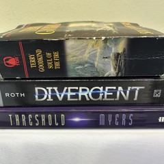 Fantasy, Dystopian & Paranormal Book Lot, Divergent, Threshold, Soul Of The Fire