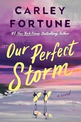 Our Perfect Storm – Hardcover, by Fortune Carley – Very Good u