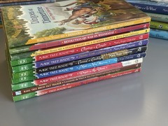 Magic Tree House Chapter Books YOU CHOOSE PICK, BUILD A LOT Merlin Mission